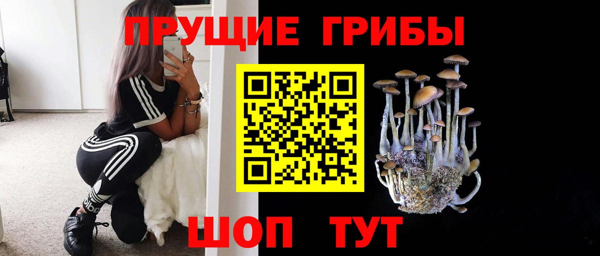 Джанкой  Галлюциногенные грибы мицелий  Псилоцибиновые грибы GOLDEN TEACHER  Вход с VPN 